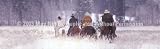 ClearVue Graphics Window Graphic - 16x54 Four Horsemen HRS-001-16-54