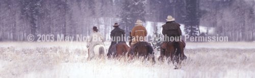 ClearVue Graphics Window Graphic - 16x54 Four Horsemen HRS-001-16-54