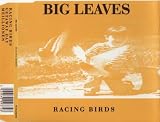 Racing Birds
