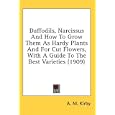 Daffodils, Narcissus And How To Grow Them As Hardy Plants And For Cut Flowers, With A Guide To The Best Varieties (1909) by A. M. Kirby