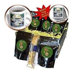 Londons Times Funny Science Cartoons - Archeologists Discover the Mice Age - Coffee Gift Baskets - Coffee Gift Basket