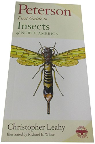 peterson first guide to insects of north america