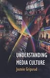Understanding Media Culture (Hodder Arnold Publication)