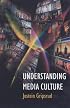 Understanding Media Culture (Hodder Arnold Publication)