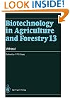 Wheat (Biotechnology in Agriculture and Forestry)