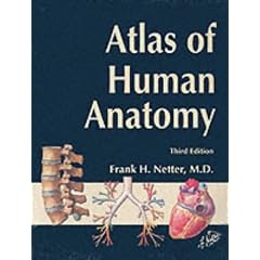 Atlas of Human Anatomy (Netter Basic Science)