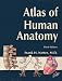 Atlas of Human Anatomy (Netter Basic Science)