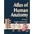 Atlas of Human Anatomy (Netter Basic Science)