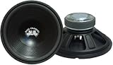 10'' 400 Watt Subwoofer