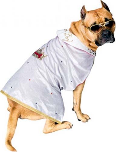 Elvis Presely Dog Costume