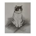 Sitting Pretty Animals Giclee Poster Print by Denise Wood, 8x10