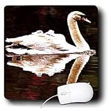 Birds - Swan - Mouse Pads