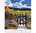 Chamisa Path, Art Poster by William Hook