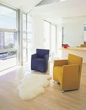 Bowron Single PELT RUG 24