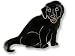 labrador10  - Clearly Charming Black Labrador Retriever Dog Sterling Silver
