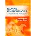 Essential Equine Books for Vets and Veterinary Students