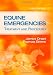 Equine Emergencies: Treatment and Procedures, 3e