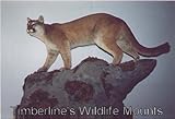 Mountain Lion Mount