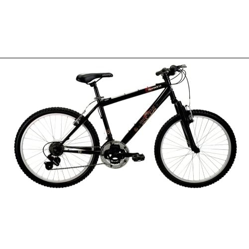 Realm Cycles Province 1.0 Boy's Mountain Bike (24Inch