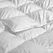 Silk 750 TC California/ Cal - Oversized/ Super King 110x100" Siberian White Goose Down Comforter: Level 1