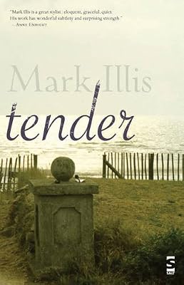 Tender (Salt Modern Fiction)