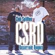 Csrd