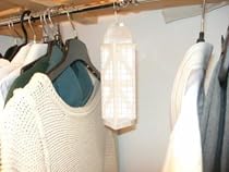 CLOTHES MOTH TRAP
