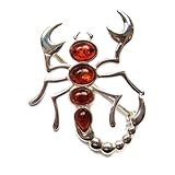 Baltic Honey Amber Sterling Silver Museum Collection Classic Scorpion Pin 19th Century