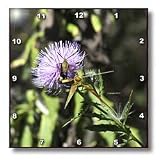 Jackie Popp Nature N Wildlife flowers - bug on a thistle - Wall Clocks