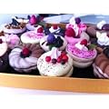 Donuts Magnete f�r den K�hlschrank 10 St�ck Geschenk-Set / Dessert und Lebensmittelhandwerk / Tokyo Dessert Fabrik