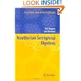 Noetherian Semigroup Algebras (Algebra and Applications) by Eric Jespers and Jan Okninski