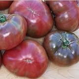 Gewinner vieler Preise in den USA - hervorragender Geschmack - dunkle Tomate - Carbon - 10 Samen