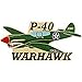 P-40 Warhawk Airplane Pin Pewter 2 1/4