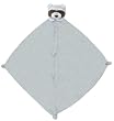 Angel Dear Raccoon Blankie