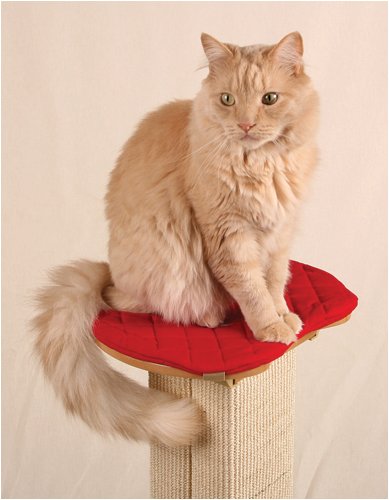 Childrens Toyshop  Pet Supplies : Ultimate Post Perch