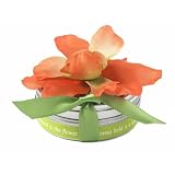 Bloembox Tiny Tin Edible Flowers: Apricot Stock