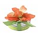 Bloembox Tiny Tin Edible Flowers: Apricot Stock