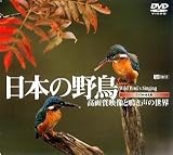 �V���t�H���X�gDVD ���{�̖쒹 ���掿�f���Ɩ����̐��E Wild bird's Singing