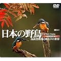 ���{�̖쒹/���掿�f���Ɩ����̐��E [DVD]