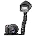 Photo : Sealife DC800 Pro 8.0 Megapixel 4 X Optical Zoom 2.7- Inch LCD Screen Underwater/Land Camera in Removable Housing with Digital Pro Flash