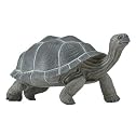Safari, Ltd Incredible Creatures - Galapagos Adult Tortoise
