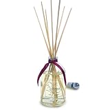Pearlessence Natura Single Reed Diffuser, Star Anise