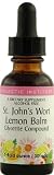 Eclectic Institute - St. John's Wort-Lemon Balm, 1 oz liquid