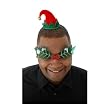 One Size Mini Holiday Elf Hat for People and Pets