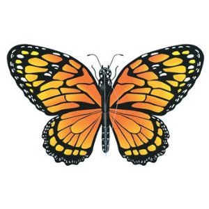 Monarch Butterfly, Vermont State Symbol