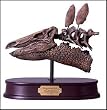 Stegosaurus Skull Model with Wood Base Scale (1:4)