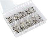 Fuses: 100 Assorted Fuses