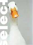 Select : the Photographic Showcase