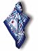 Hemmed Scarf- Sea of Circles Color Blue