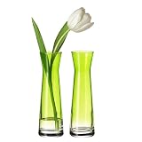 Produkt-Bild: LEONARDO 086493 - Set/2 Vasen Rio apfelgr&uuml;n